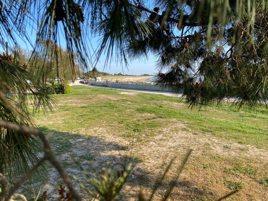 Villa Au Calme Dans Un Ecrin De Verdure 3Ch Aytré Dış mekan fotoğraf